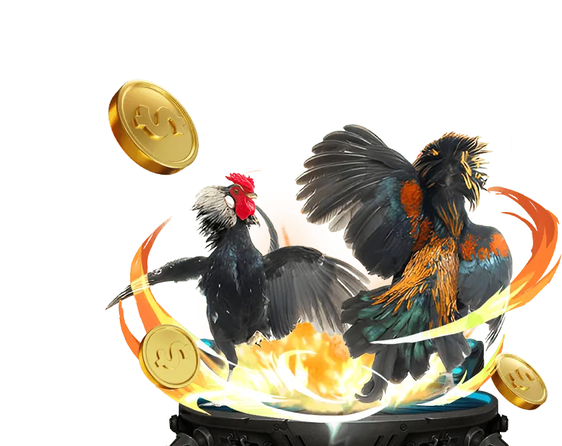 Các tính năng của liên kết 13win