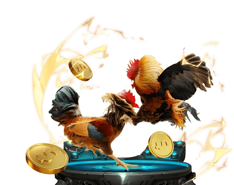 Khuyến mãi thành viên mới